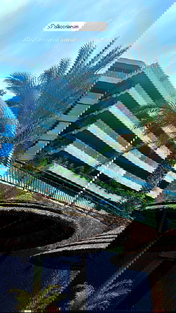 taylor.creeden taylor.creeden archive image