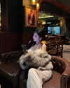 quenhi.phamm Altpins Profile Picture