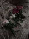 ash.onme Altpins Profile Picture