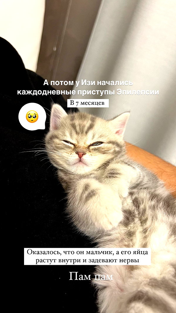 enikeeva_aliya instagram image archive image