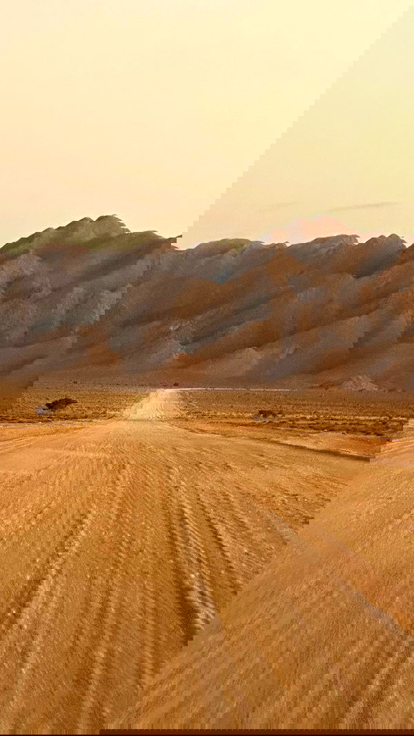 taylor.creeden taylor.creeden archive image