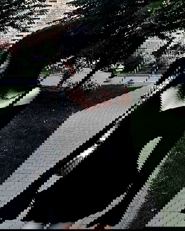 txxwwq txxwwq archive image