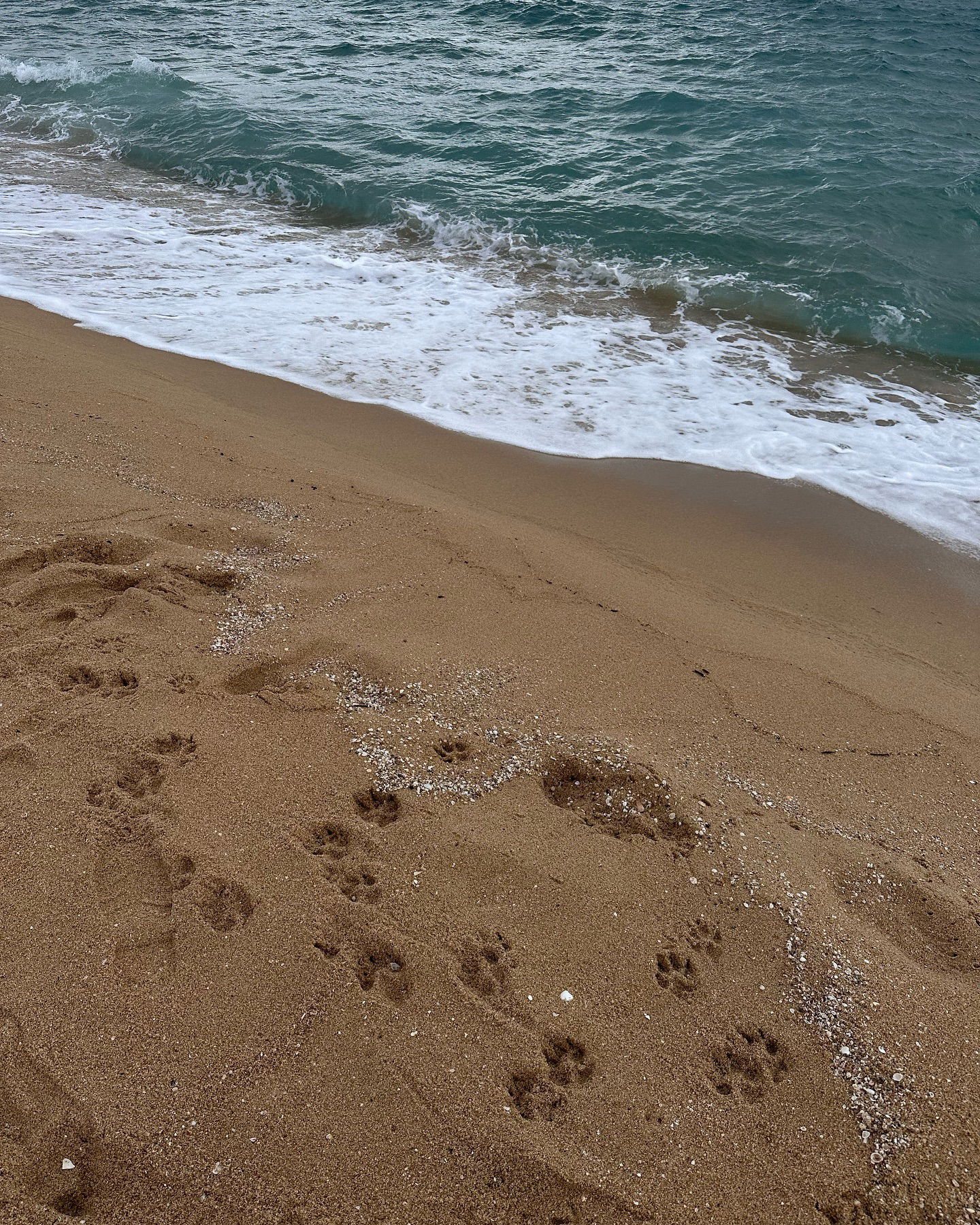 kkulakovaa instagram image archive image