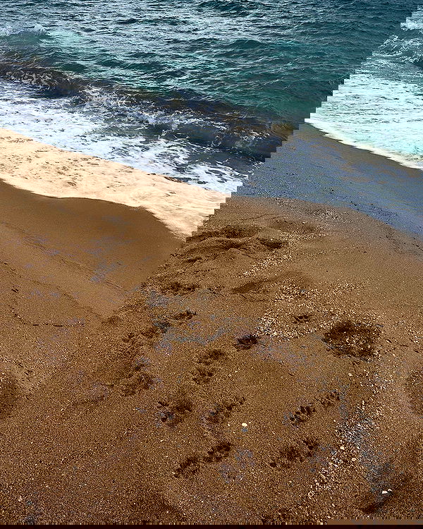 kkulakovaa image ~ Altpins