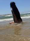strawberryshanz Altpins Profile Picture