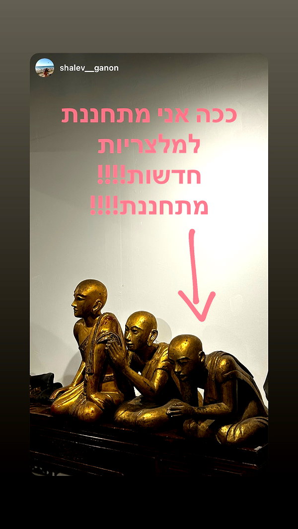 linraimoch instagram image archive image