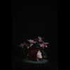 muze Altpins Profile Picture