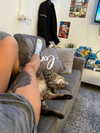 shanidahan7 Altpins Profile Picture