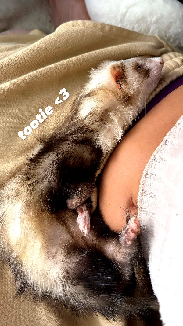 sashasucc instagram image archive image