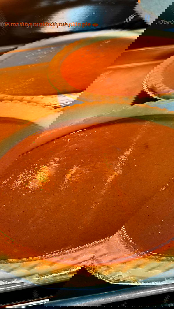 biton__adi biton__adi archive image