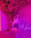 jadelaverne Altpins Profile Picture