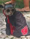 milkiwifey Altpins Profile Picture