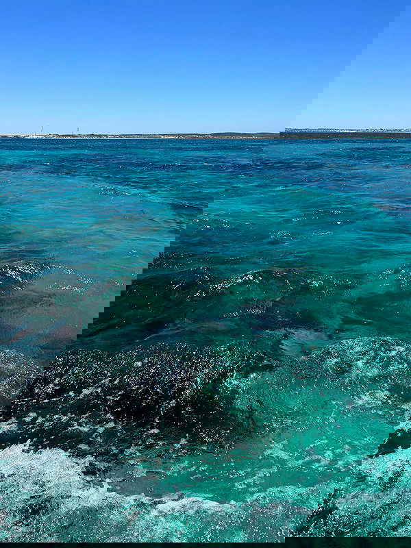 jtilb image ~ Altpins