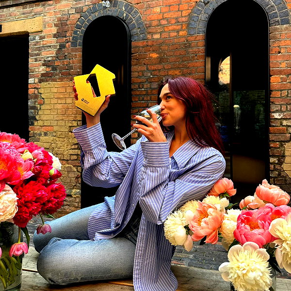 dualipa instagram image archive image