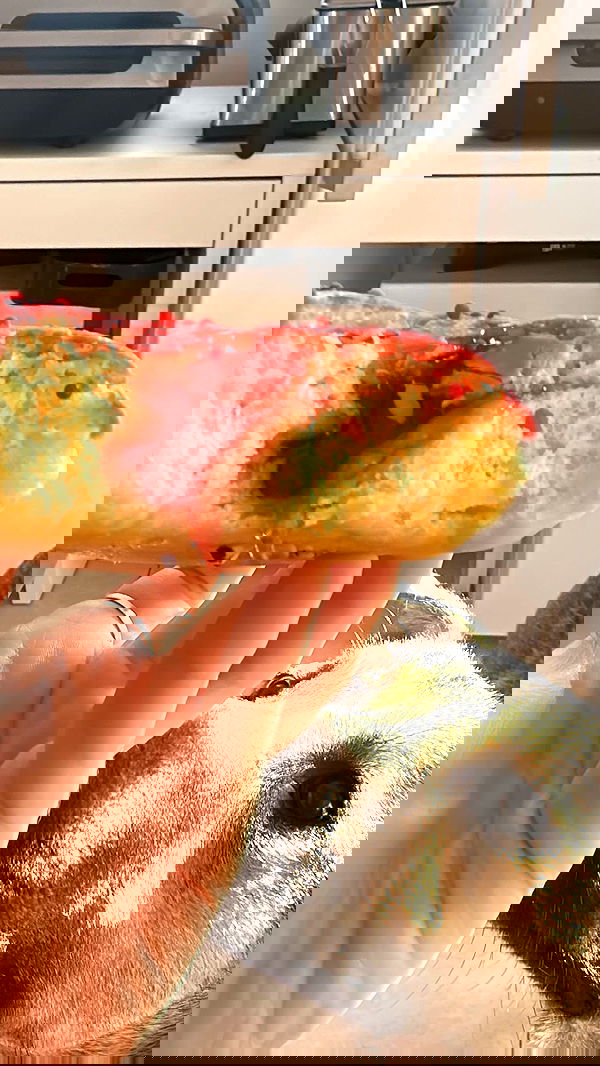 moonliliaght moonliliaght archive image