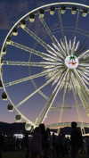 dekota_thompson Altpins Profile Picture
