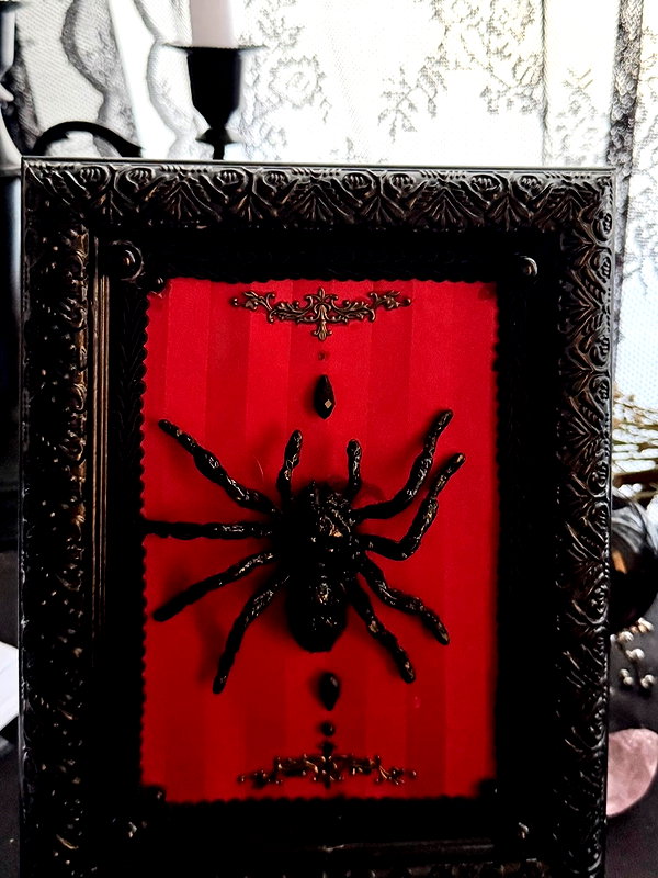svcriligiosa instagram image archive image