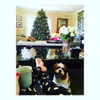 katehudson Altpins Profile Picture