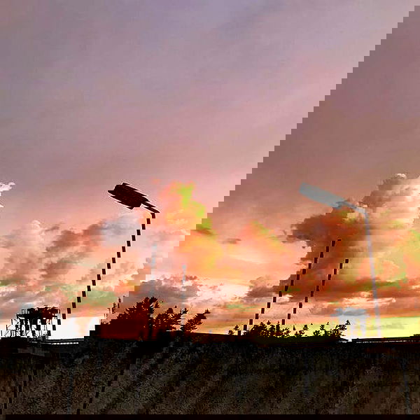 annfigmax image ~ Altpins