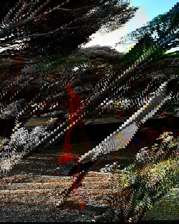 taylor.creeden taylor.creeden archive image