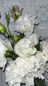 federica.piccinni Altpins Profile Picture