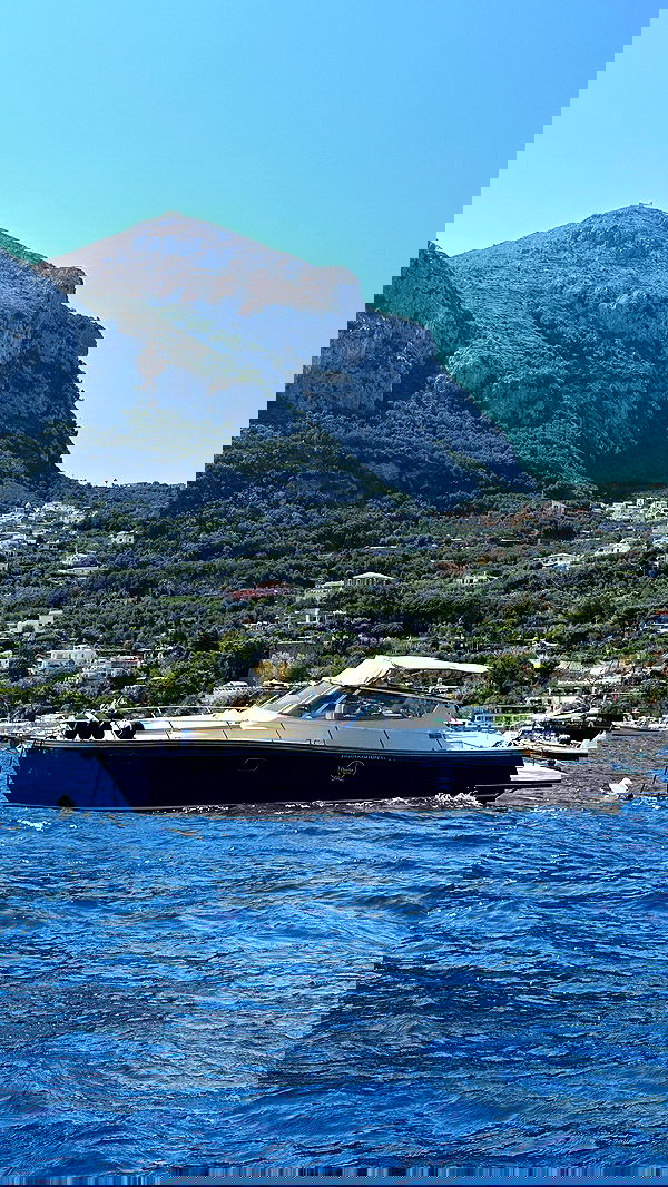 taylor.creeden taylor.creeden archive image