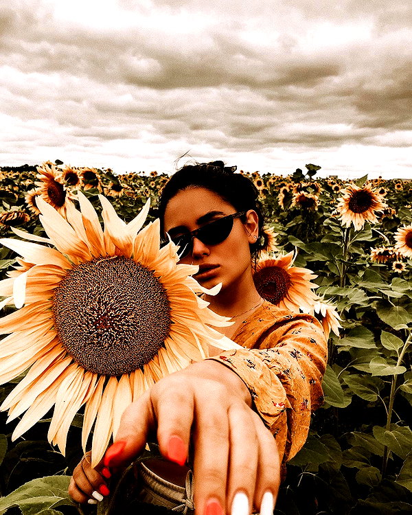 alishevs instagram image archive image