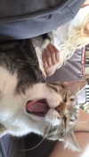burcumsai Altpins Profile Picture