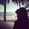 realbarbarapalvin Altpins Profile Picture