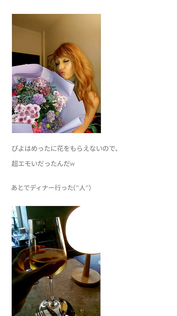 piyokoblog archive image