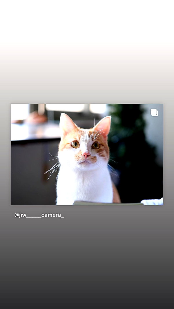 jiw_____n instagram image archive image