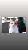 jiw_____n Altpins Profile Picture