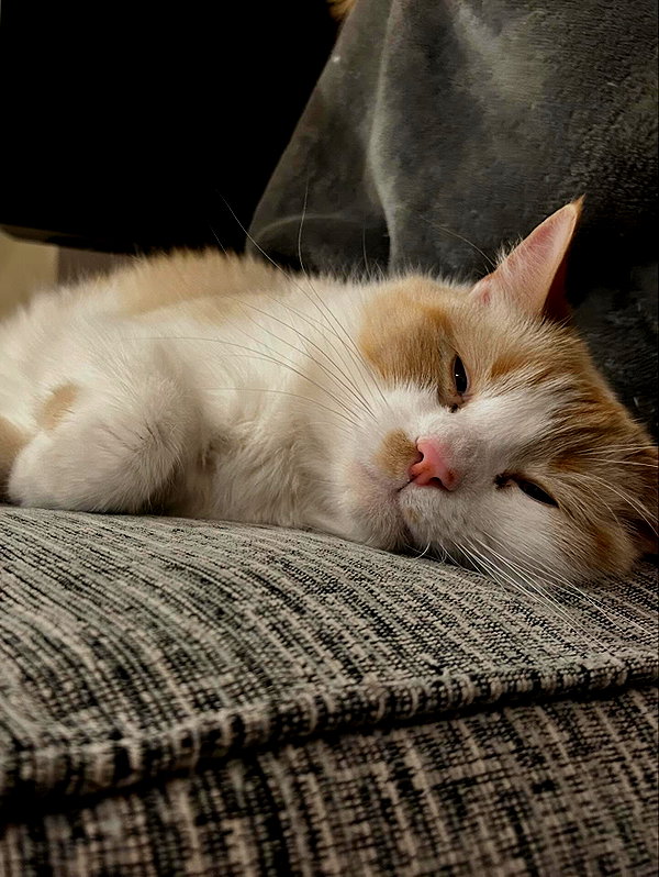 charley.chambers instagram image archive image