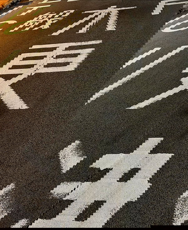 taylor.creeden taylor.creeden archive image