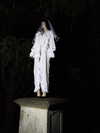 suspiria.em Altpins Profile Picture