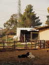 hadas_mayer_ Altpins Profile Picture