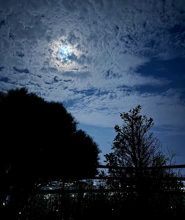 _suxung instagram image archive image