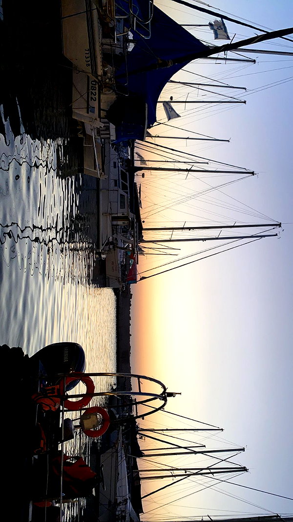 emleecordeiro instagram image archive image