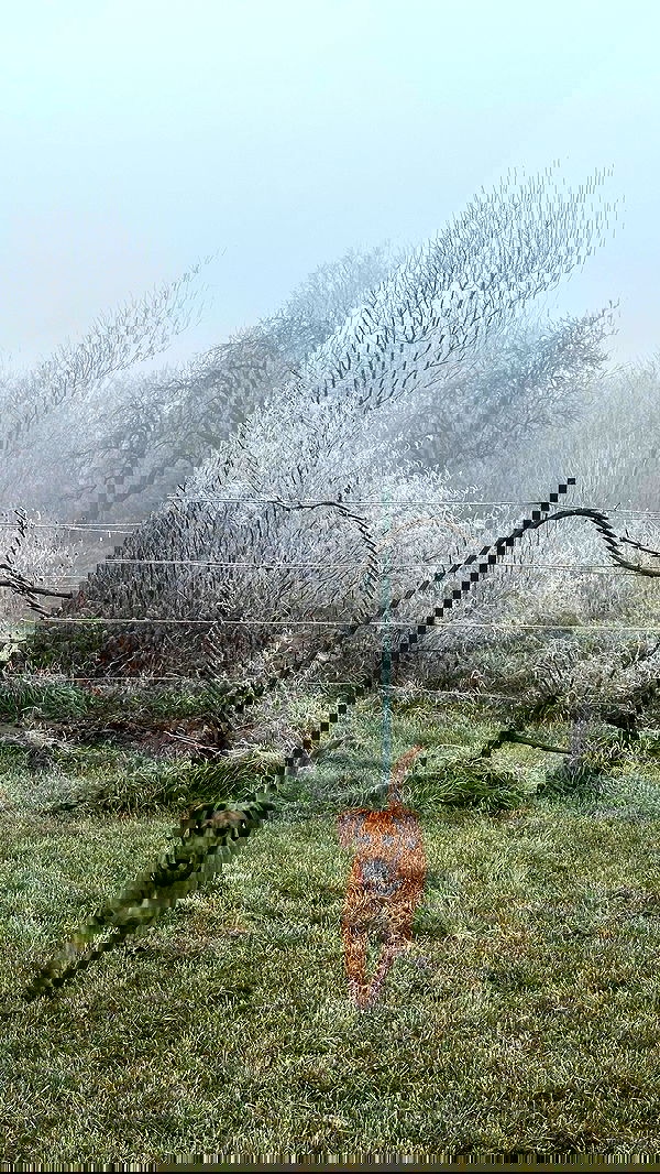 manjolamuriqi manjolamuriqi archive image