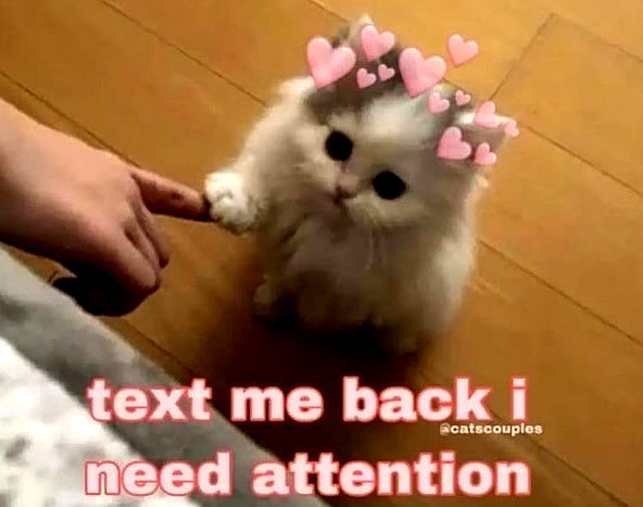milkiwifey instagram image archive image