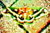 bugz4brainz Altpins Profile Picture