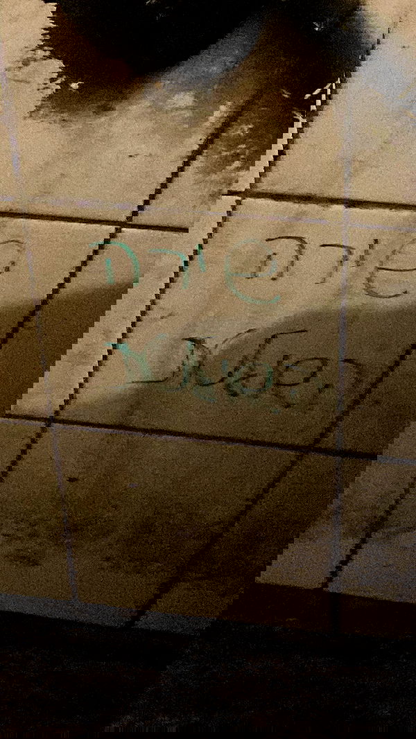 rose_xanne rose_xanne archive image