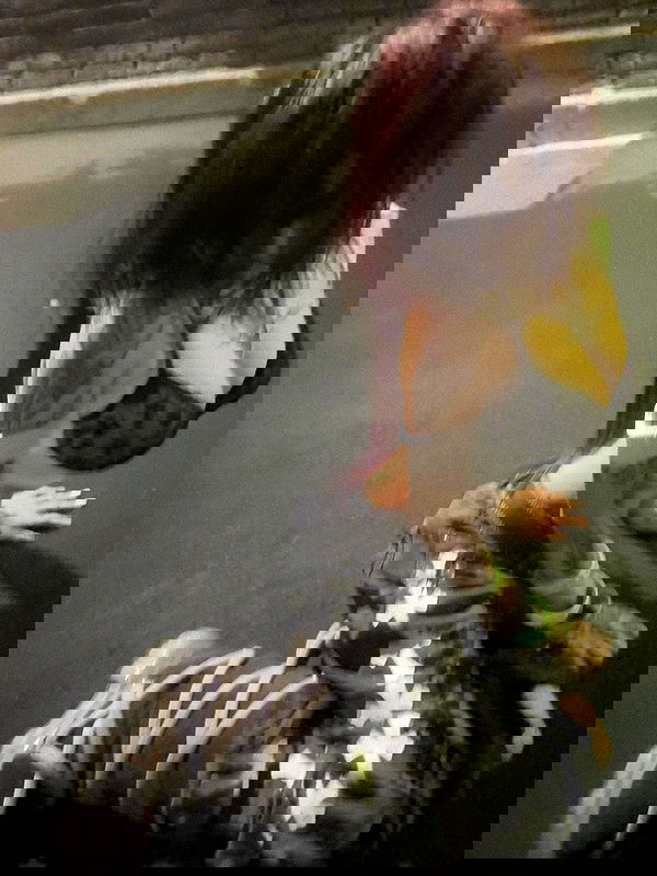 zommmbri zommmbri archive image