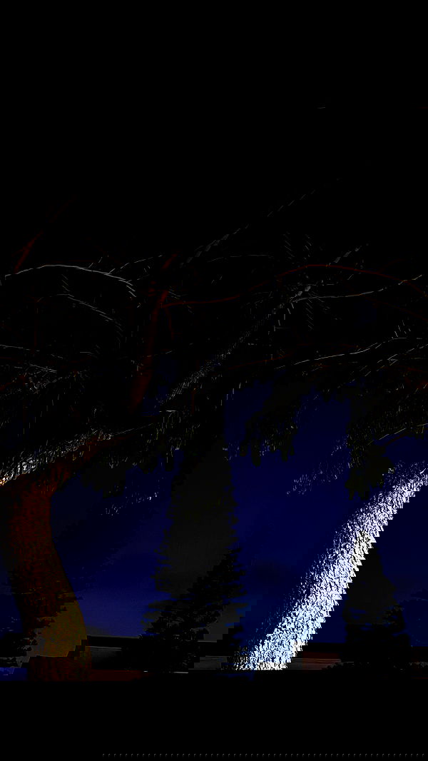 romy_ayalla_lavi romy_ayalla_lavi archive image