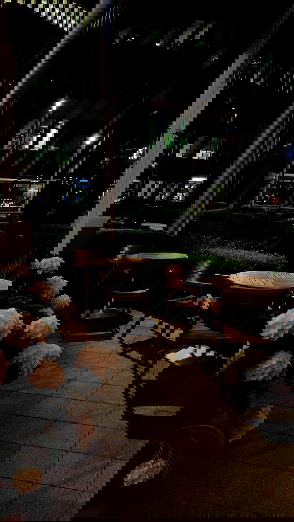 pinx_ir pinx_ir archive image