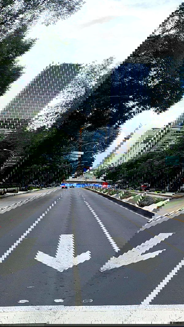 taylor.creeden taylor.creeden archive image