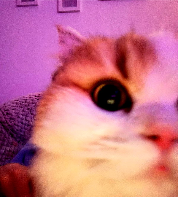 mennyaah instagram image archive image