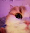 mennyaah Altpins Profile Picture