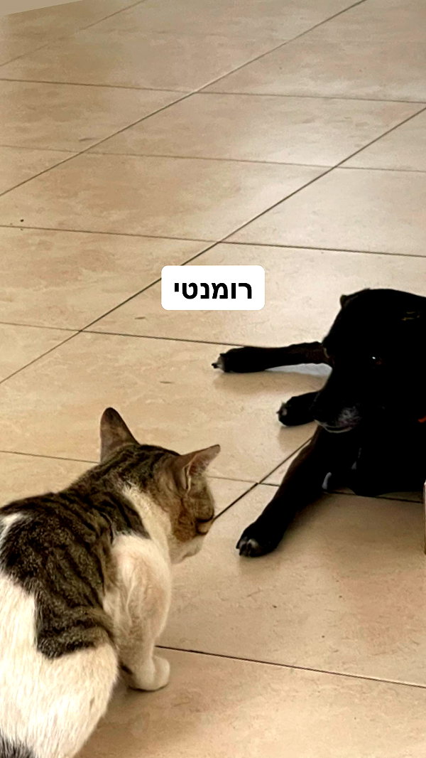liliashaked instagram image archive image