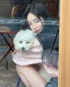daxbin Altpins Profile Picture